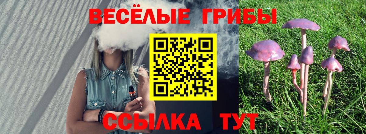 Ишимбай  Псилоцибиновые грибы Magic Shrooms  Вход с VPN 